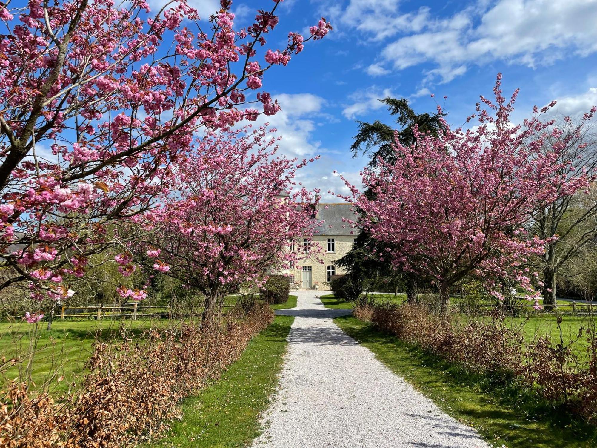 Chateau De Monfréville エクステリア 写真